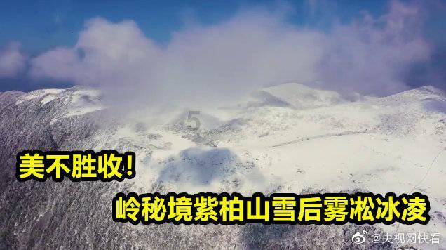 左小青是谁,她都犙莨?男┑缡泳- 你遇到问题,我有问必答的平台