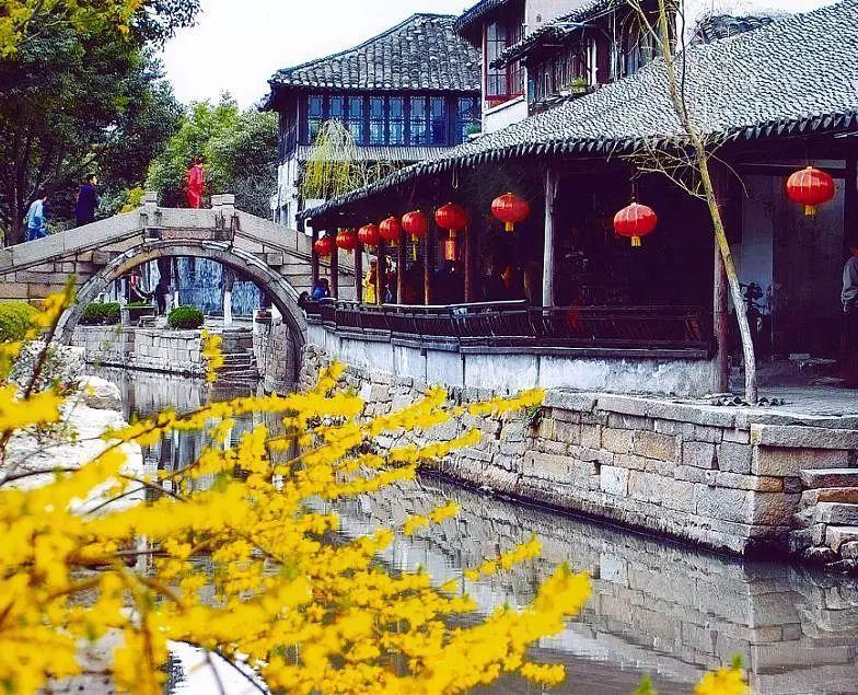 进入富坚义博《全职猎人》休刊超500次,为什么动漫界还对他不离不弃?,发现无尽知识宝藏